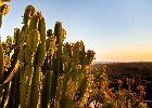 LA and around, CA
